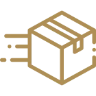 Fast delivery icon